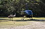 Aussie Bush and Wildlife Helicopter Tour